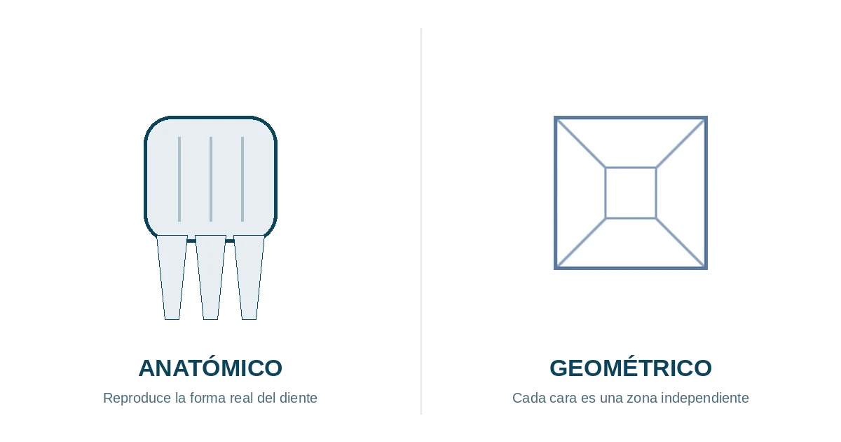 Diferencia entre odontograma anatómico y odontograma geométrico