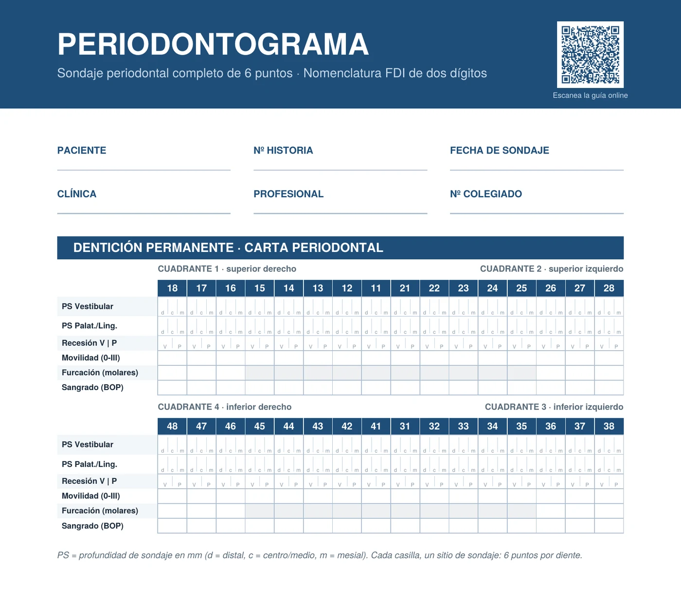 Carta periodontal completa de 6 puntos por diente para rellenar, con nomenclatura FDI